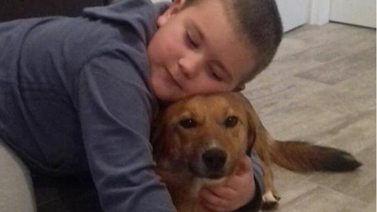 ZAGREB Ovo je najmlađi volonter u azilu Noine Arke i njegova ljubav prema psima je neopisiva